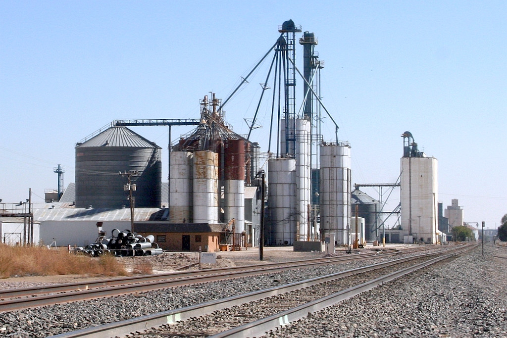 grain plant